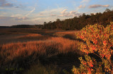 Autumn Marsh at Sunset