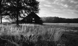 Barn Yard