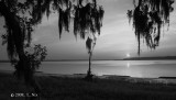 Colleton River at Evening