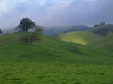 Spring II