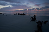 Hunting Island Beach