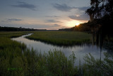 Pocotaligo Marsh