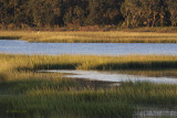 Huspah Marsh at Sunrise