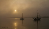 Harbor Fog 3