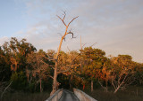 Island Bridge