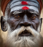 Sadhu (Holy Man)