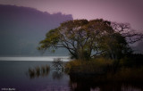 Ranthambore NP