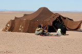Home of Sahara Girl