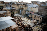 Tannery Fez Medina