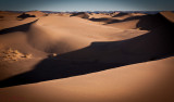 Sand Dunes of the Sahara