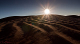 Sand Dunes of the Sahara