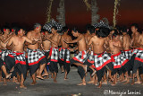   Monkey people  dancers