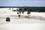 Sand dunes