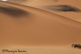 Dune , Dunes
