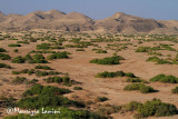 Panorama del Damaraland , Damaralands landscape