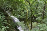 Shepperds Dell Falls