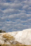 Mammoth Hot Springs, Canary Spring