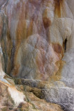 Mammoth Hot Springs, Orange Spring Mound,