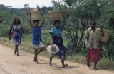 On the way to the market