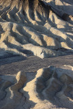 Zabrinsky Point