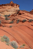 Coyote Buttes South, Paw Hole