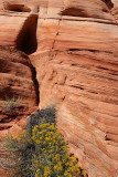 Coyote Buttes South, Paw Hole