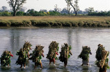 Royal Chitwan National Park