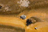 Upper Geyser Basin, algae pattern