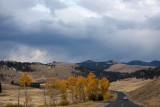Roosevelt Country, Fall colours at Lamar Valley
