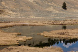 Mammoth Country, Blacktail Ponds