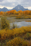 Oxbow Bend