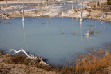 Norris Area, Back Basin, Yellow Funnel Spring