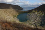 Tagus Cove, Isabela Island