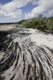 Lava and sand, Punta Espinosa, Fernandina Island