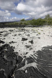 Lava and sand, Punta Espinosa, Fernandina Island