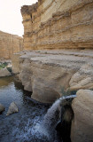 Tamerza Gorge