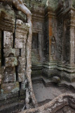 Ta Prohm