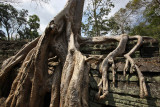 Ta Prohm