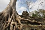 Ta Prohm