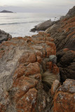 Whisky Beach, Wilsons Promontory N P