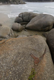 Whisky Beach, Wilsons Promontory N P