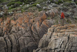 Whisky Beach, Wilsons Promontory N P