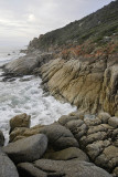 Whisky Beach, Wilsons Promontory N P