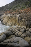 Whisky Beach, Wilsons Promontory N P