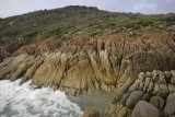 Whisky Beach, Wilsons Promontory N P