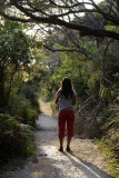 On the way to the beach, Wilsons Promontory N P