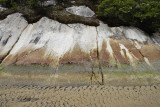 Sealers Cove, Wilsons Promontory N P