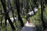 On the way to Sealers Cove, W P N P