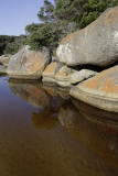 Tidal River, Wilsons Promontory N P