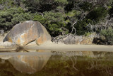 Tidal River, Wilsons Promontory N P